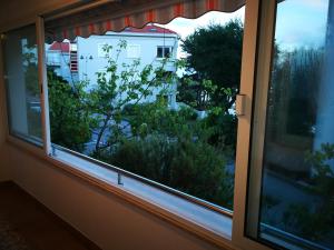 Zahrada ubytování D&M APARTMAN 1