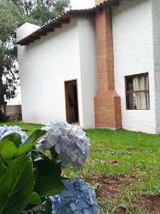 una casa con flores azules delante de ella en La Mora Casa de Campo, en Huasca de Ocampo