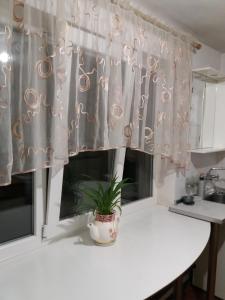 a kitchen with a window curtain with a plant on a counter at Гостевой дом in Odesa