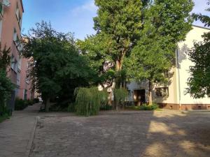 ワルシャワにあるWarsaw Concierge Franciszkańska Old Townの木々と建物のある石畳の通り