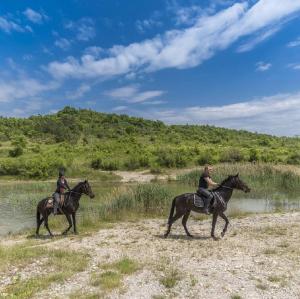 two people are riding horses in a field at DAMJANIĆ HOLIDAY HOUSE in Brtonigla