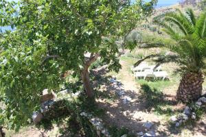 Paesaggio naturale nelle vicinanze dell'affittacamere