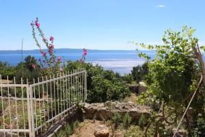 Paesaggio naturale nelle vicinanze dell'affittacamere