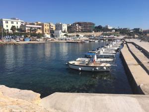 チビタベッキアにあるQuattro Stelle al Porto Guest Houseの港に停船する船列