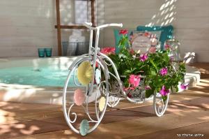 Gallery image of Zimergia in Livnim