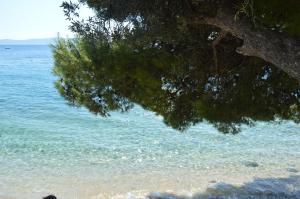 Paesaggio naturale nelle vicinanze dell'affittacamere