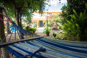 Zahrada ubytování B&B Da Marcella