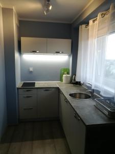 Köök või kööginurk majutusasutuses TESTO Apartments