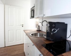 eine Küche mit einer Spüle und einem schwarzen Kühlschrank in der Unterkunft Ellena`s FEWO am Uke in Hamburg