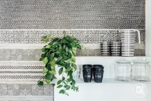a plant on a shelf with plates and jars at Nummer 100 - 1 in Leeuwarden