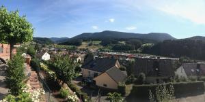 a village with houses and mountains in the background at Schwarzwald Lodge Oppenau in Oppenau