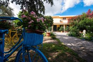 Zahrada ubytování B&B Da Marcella