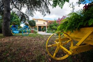 Zahrada ubytování B&B Da Marcella