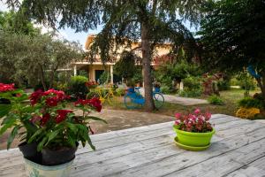 Zahrada ubytování B&B Da Marcella