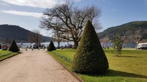 Photo de la galerie de l'établissement F2 SUR LES HAUTEURS DE GERARDMER, à Gérardmer