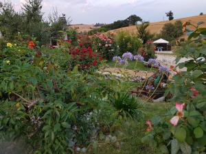 a garden with colorful flowers in a yard at Agriturismo La Stradaccia in Ginestreto