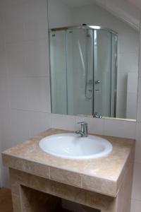 a bathroom sink with a shower and a mirror at Penzión Alfréd in Stará Ľubovňa