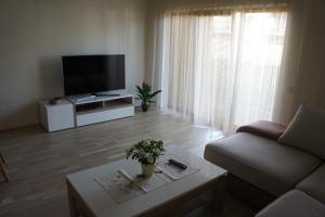 a living room with a couch and a tv at Kotkapoja Apartment in Kuressaare