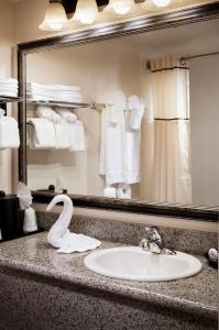 a bathroom sink with a mirror and a swan on a counter at Castle Inn and Suites Anaheim in Anaheim