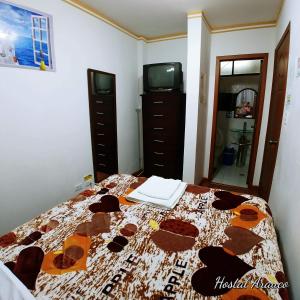 Postel nebo postele na pokoji v ubytování Hostal Arauco