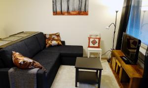 ein Wohnzimmer mit einem schwarzen Sofa und einem TV in der Unterkunft KR studio apartment Harju in Helsinki