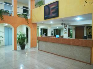 Vstupní hala nebo recepce v ubytování Hotel El Marques