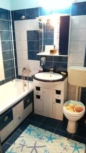 コンスタンツァにあるErik Residenceの青と白のバスルーム(洗面台、トイレ付)