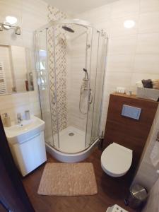 a bathroom with a shower and a toilet and a sink at Apartamenty Aleksandria in Kamień Pomorski