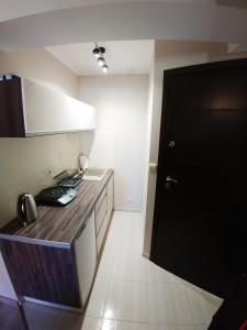 Kuchyň nebo kuchyňský kout v ubytování Apartamenty Aleksandria