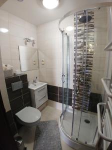 a bathroom with a shower and a toilet and a sink at Apartamenty Aleksandria in Kamień Pomorski