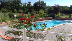 a swimming pool with red roses in a garden at Maison Joyce in Montauban