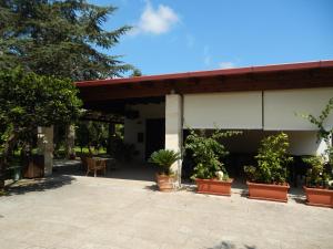 une terrasse avec des plantes en pot en face d'un bâtiment dans l'établissement Agriturismo Monte degli Angeli, à Serrano