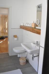 ein Bad mit einem WC und einem Waschbecken in der Unterkunft Pension (FW) "Seeblick" am Stelzenhaus in Dornburg