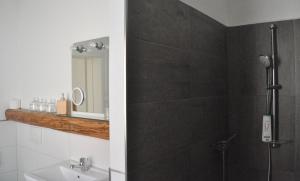 uma casa de banho com um chuveiro, um lavatório e um espelho. em Pension (FW) "Seeblick" am Stelzenhaus em Dornburg