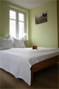 ヴァーレンにあるFewo 1 Waren Müritz - Haus Buchen am Tiefwarensee - 1 Ziのベッドルーム1室(白いベッド1台、テディベア付)