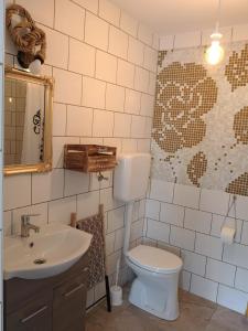 a bathroom with a toilet and a sink at Szitakötő Apartman in Demjén