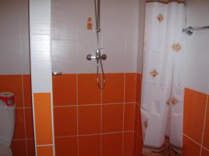 Kúpeľňa v ubytovaní Apartmany u Smreka