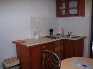 Kuchyňa alebo kuchynka v ubytovaní Apartmany u Smreka + 26 fotografií