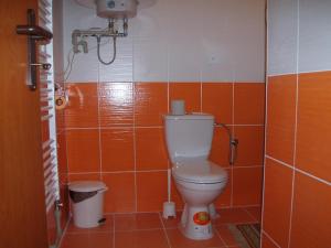 Kúpeľňa v ubytovaní Apartmany u Smreka