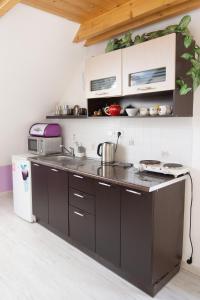 Küche/Küchenzeile in der Unterkunft Apartmán Doubravice