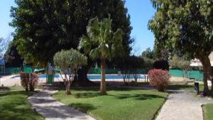 The swimming pool at or close to CARPE DIEM Studio