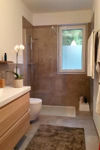baño con ducha y aseo y ventana en Appartement Belvedere, en Keutschach am See