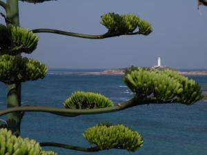 Fotografie z fotogalerie ubytování HABITACIONES LOS CAÑOS v destinaci Los Caños de Meca