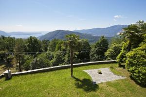 una palmera en la parte superior de un exuberante campo verde en Residence alle Ville, en Miazzina