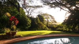 een zwembad in een tuin met een gazon en bomen bij Mtunzini BnB in Mtunzini