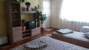 a living room with two beds and a television at Apartament cu 2 camere in Călimăneşti
