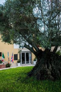 drzewo w trawie przed budynkiem w obiekcie Hotel Ginevra w mieście Poggiomarino