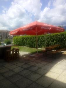 Foto sihtkohas Villa Santina asuva majutusasutuse Albergo alla Pineta galeriist