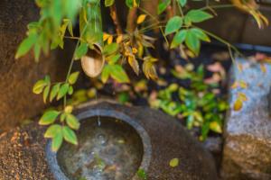 a close up of a pot with a plant at Hotel Yu-shu in Osaka
