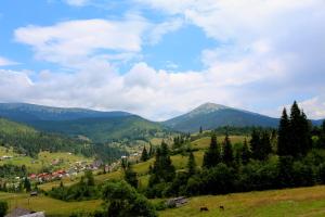 uma vista para um vale com montanhas ao fundo em FORREST hotel em Bukovel